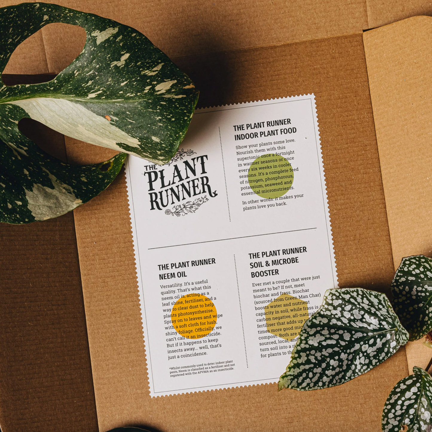 Plant Care Booster Kit