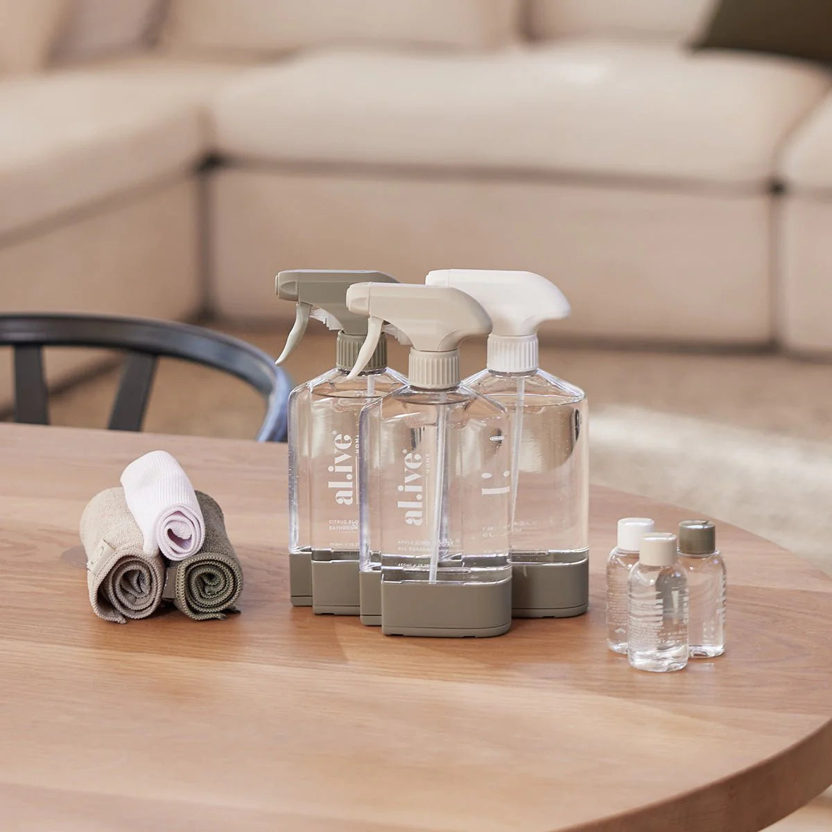 Home Cleaning Starting Kit