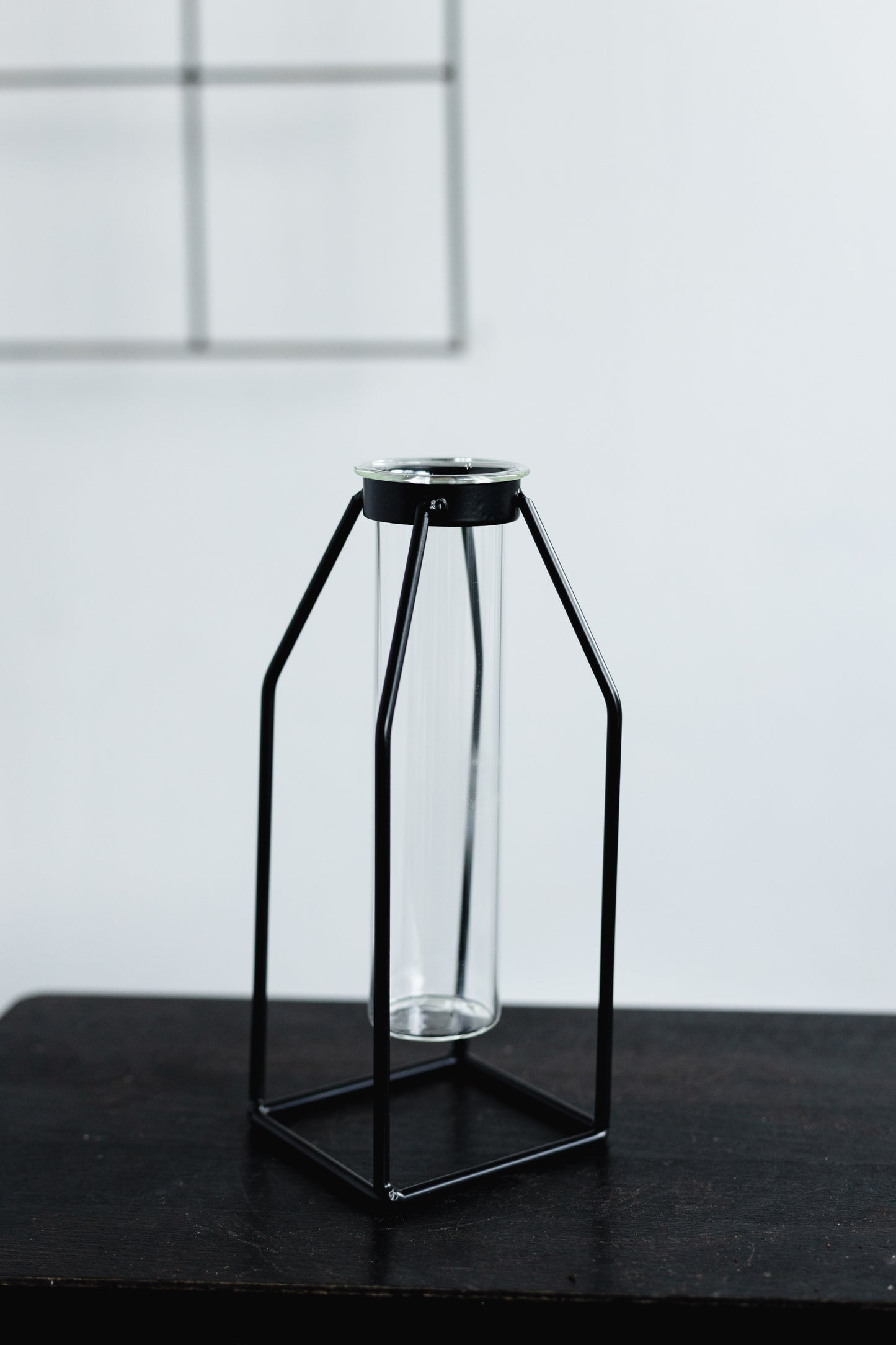 Minimalist Propagation Vessel (No plant, includes 1 propagation vessel)