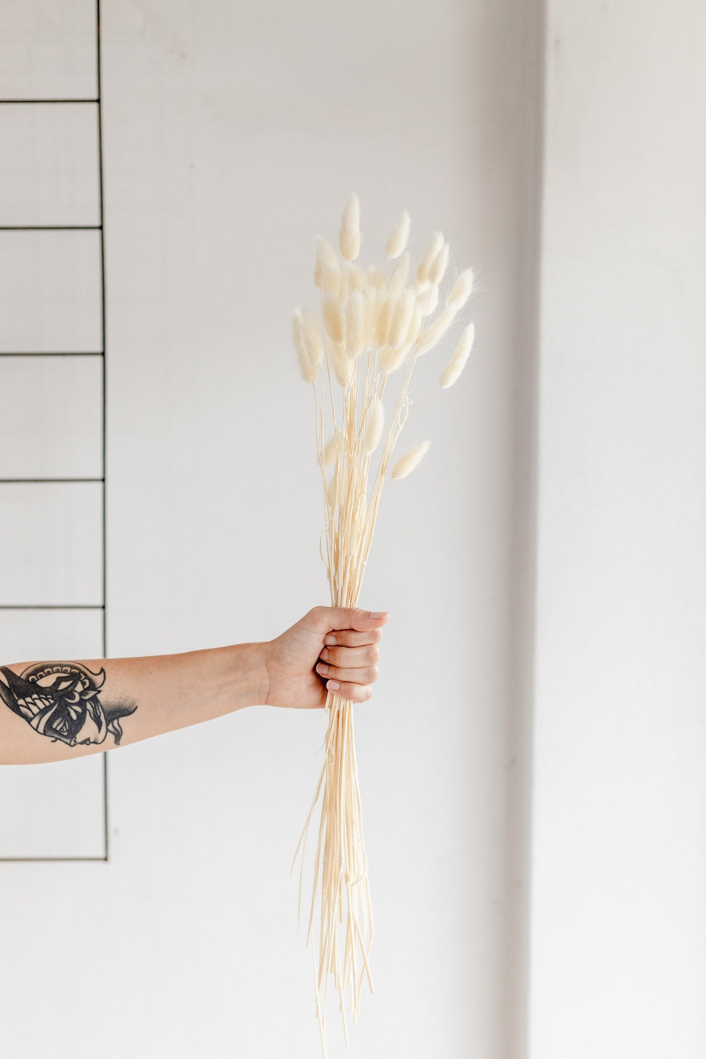Dried bunny tails (Preserved)