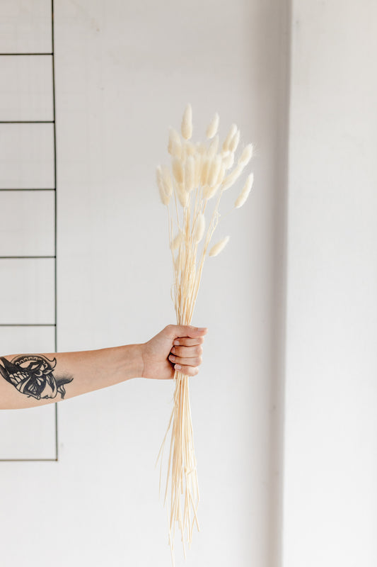 Dried bunny tails (Preserved)