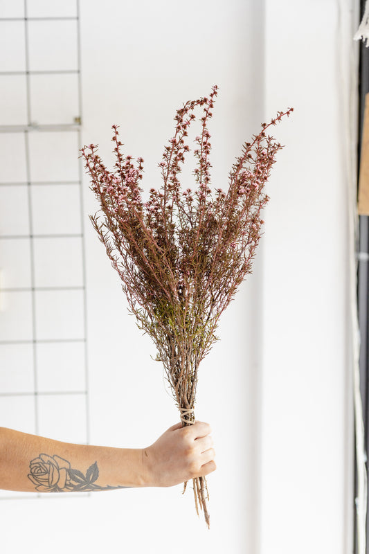 Dried flower bunch (Pink)
