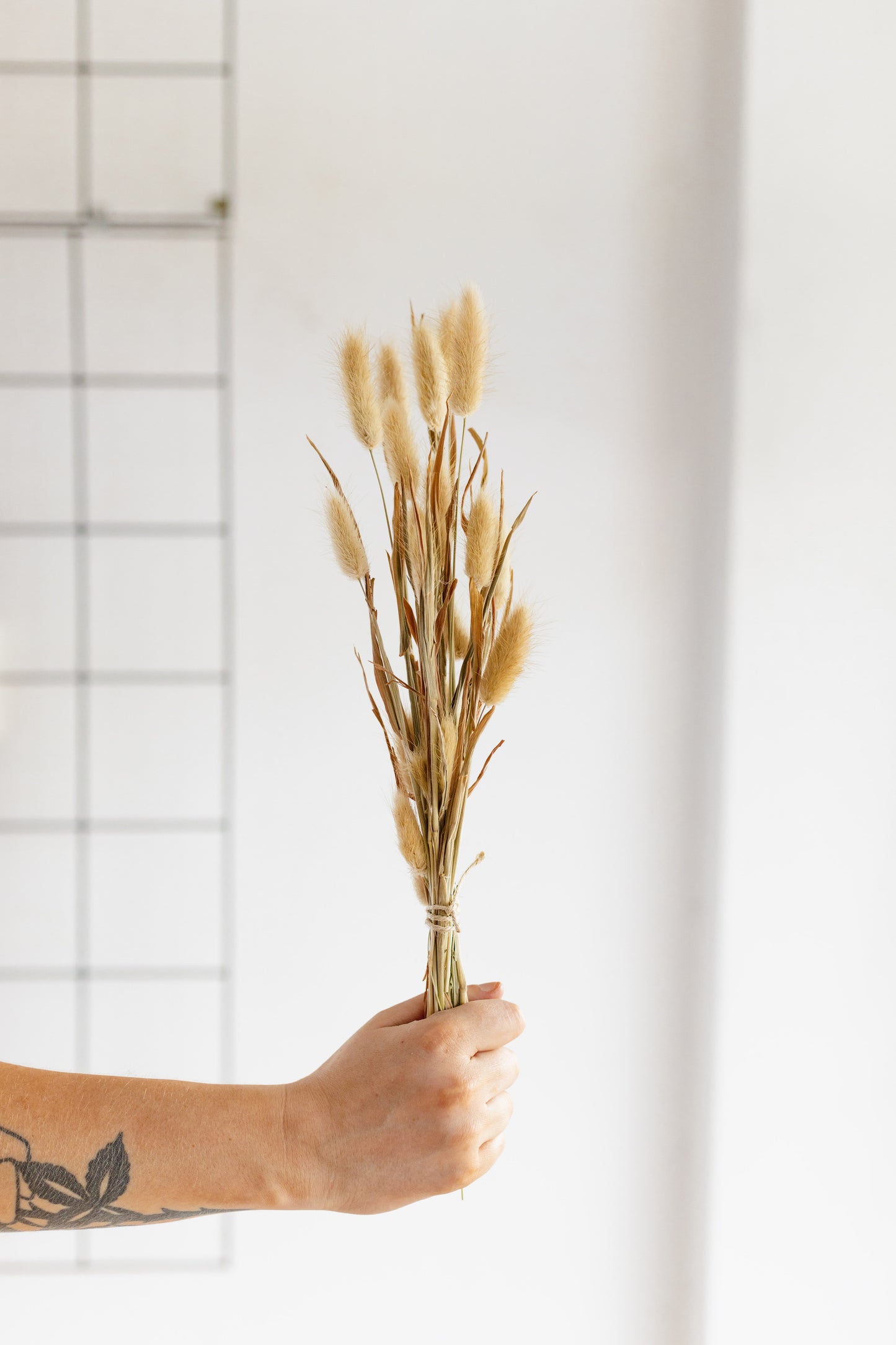 Dried Short Bunny Tails, Natural