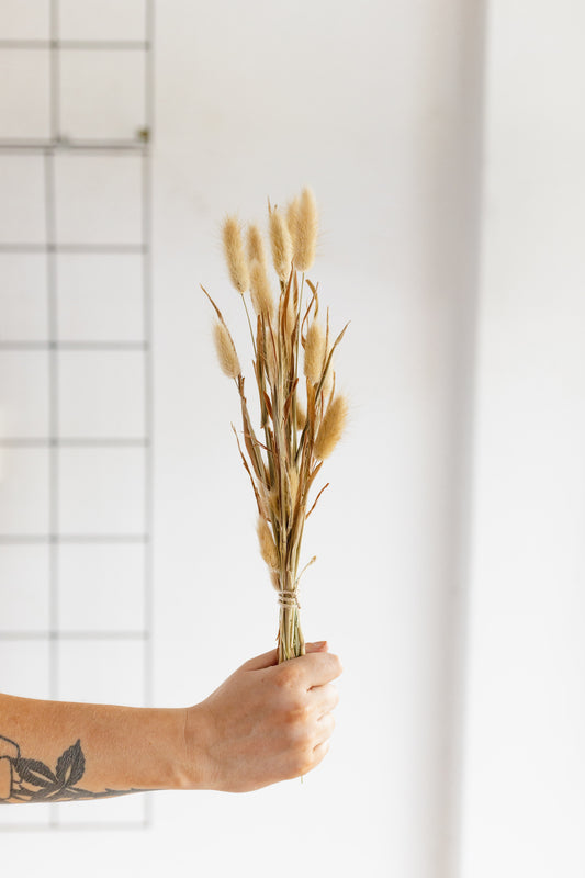 Dried Short Bunny Tails, Natural