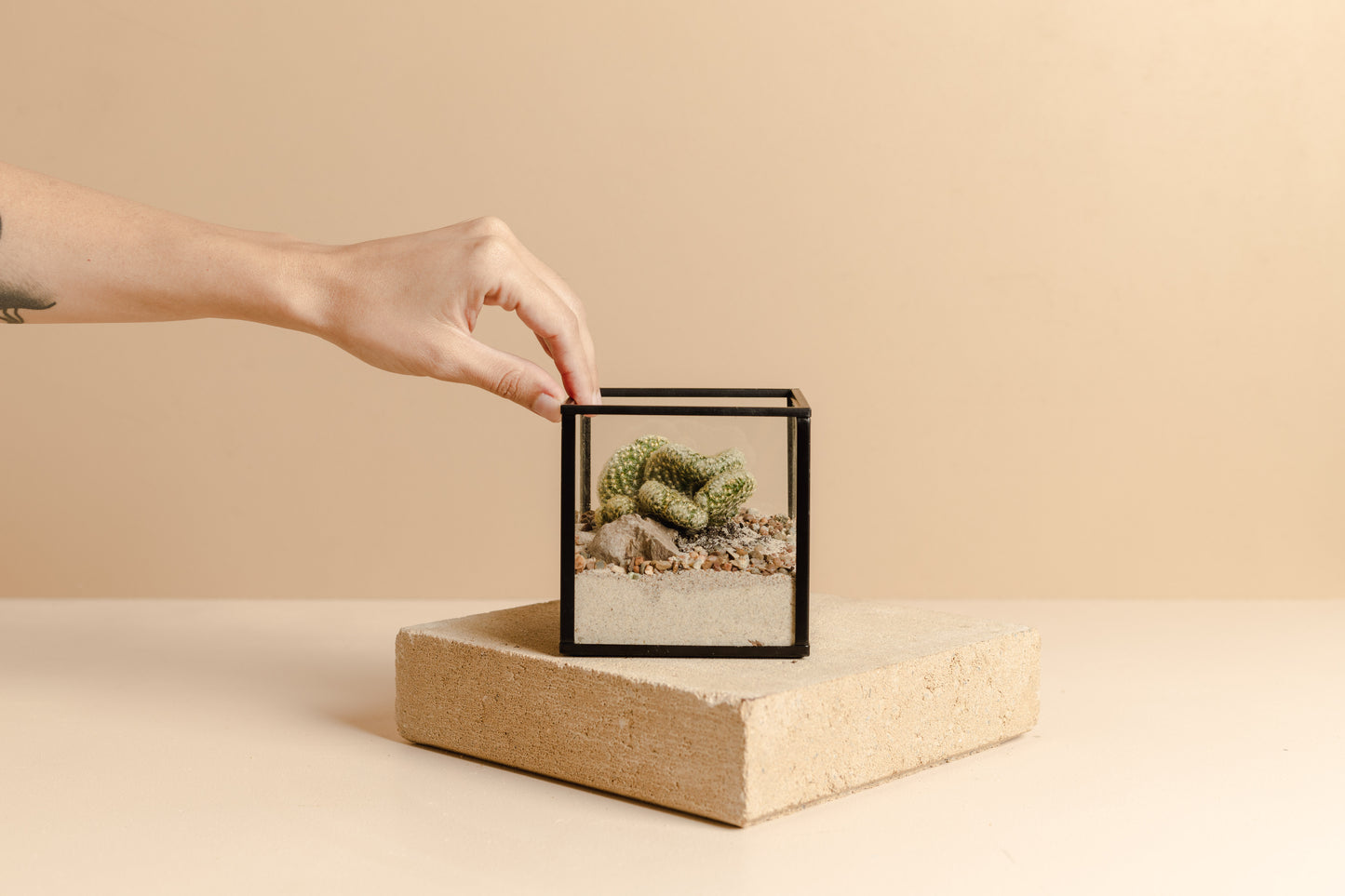 Cacti & Succulent Garden (Miniature)