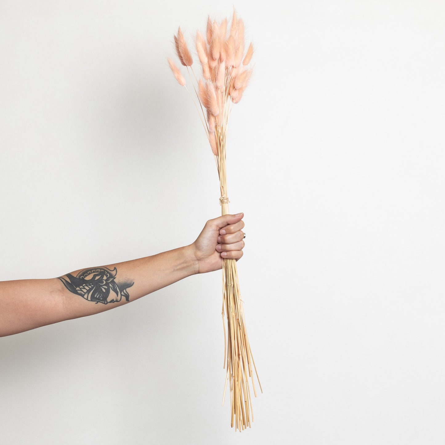 Dried bunny tails (Preserved)