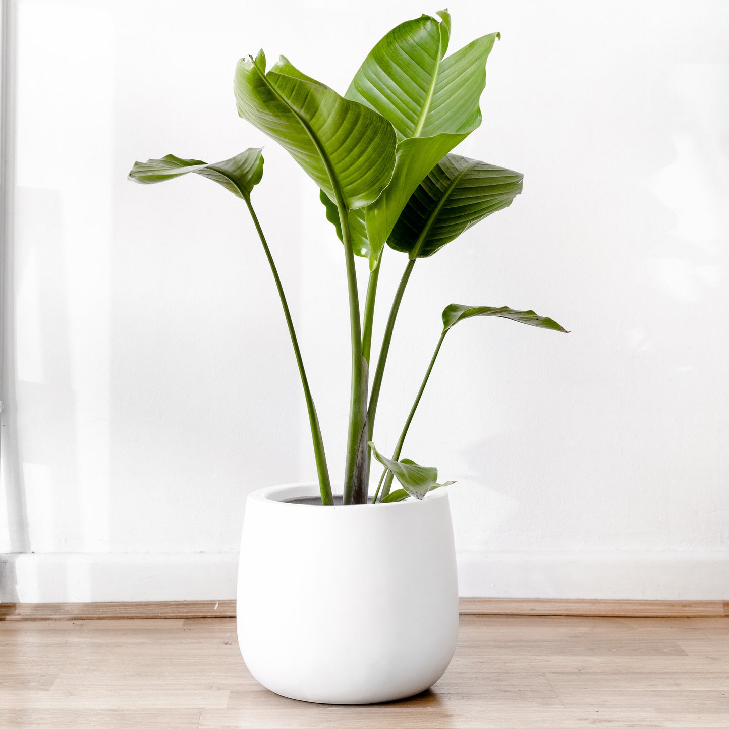 Fibrestone Duffel Pot