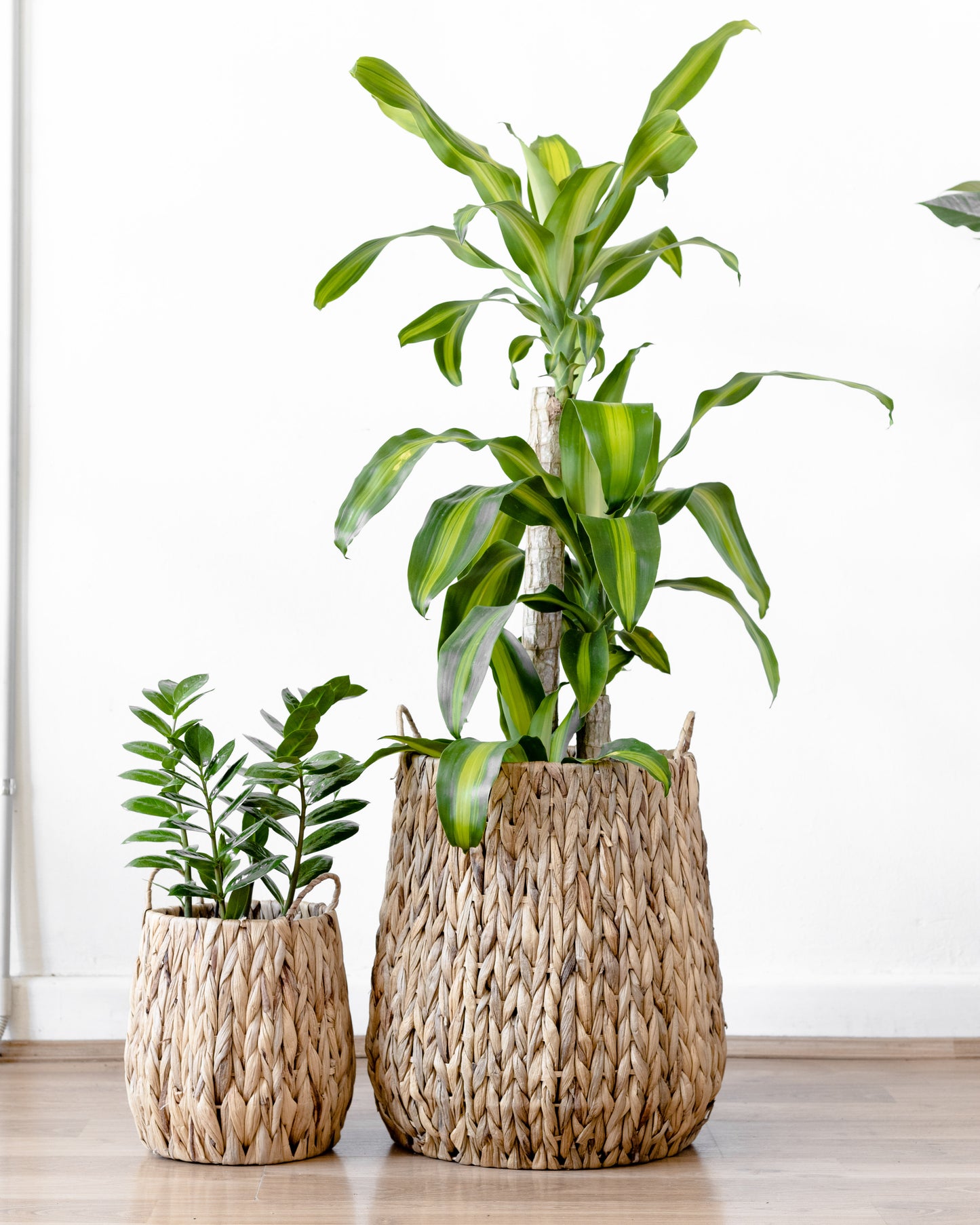 Java Basket