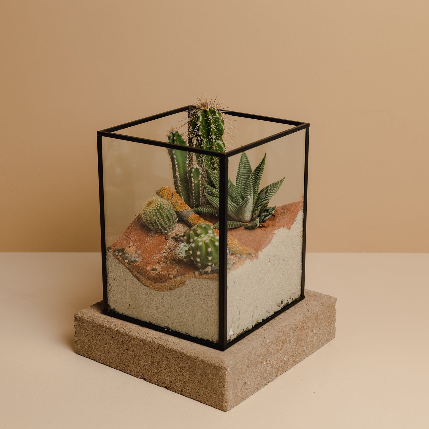 Cacti & Succulent Garden