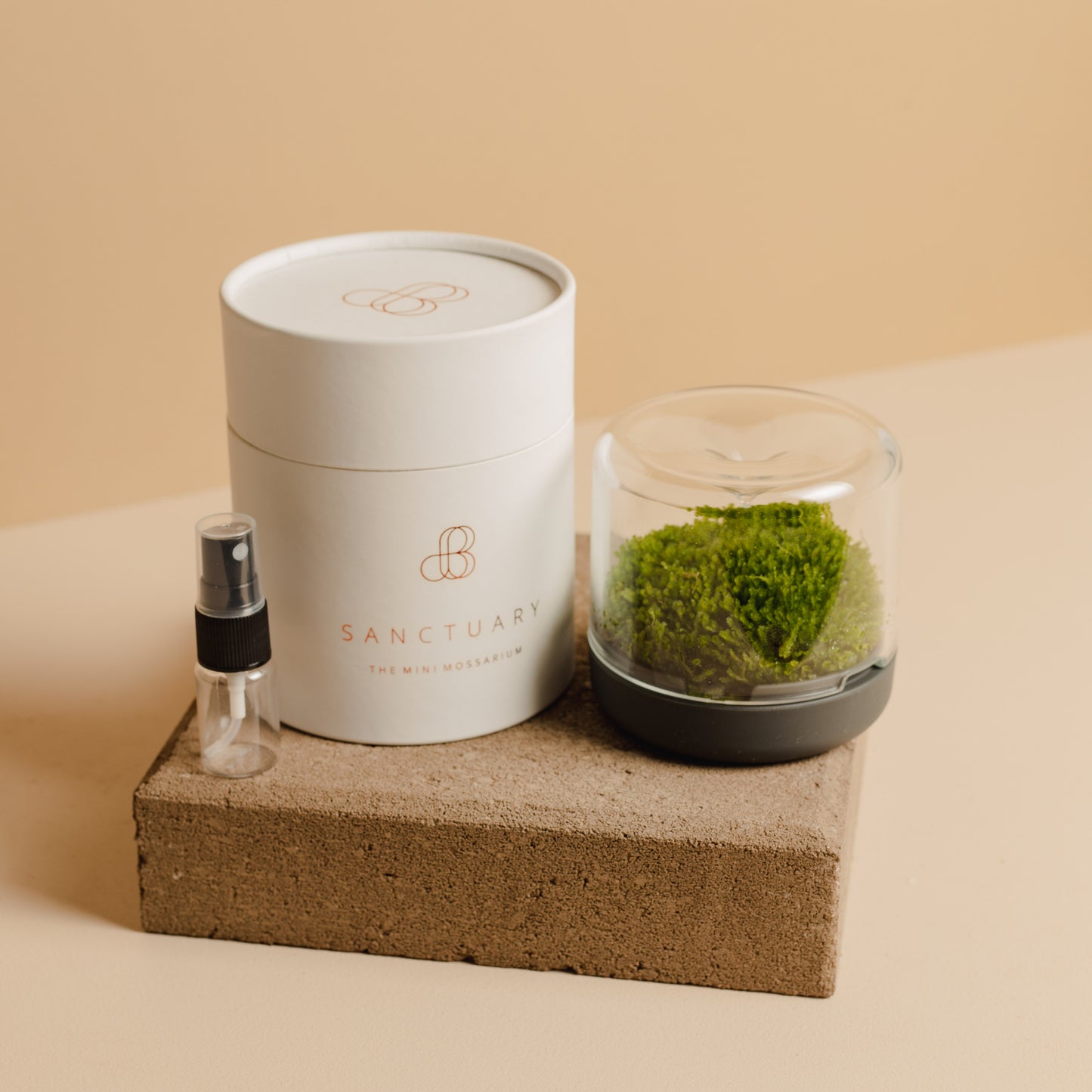 Mini Moss Terrarium