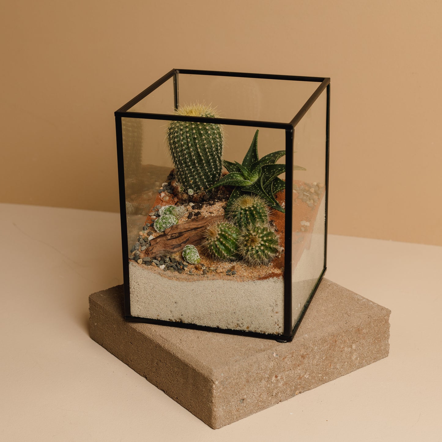 Cacti & Succulent Garden
