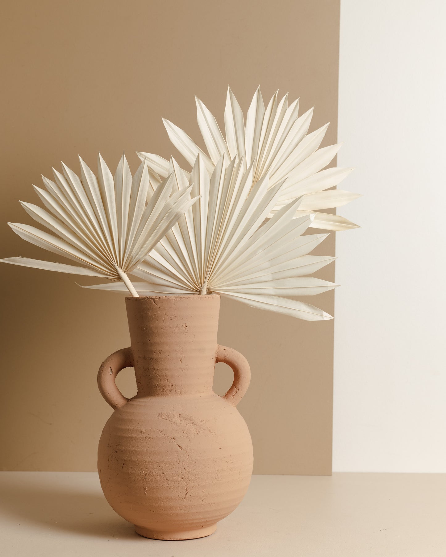 Dried Fan Palm, White