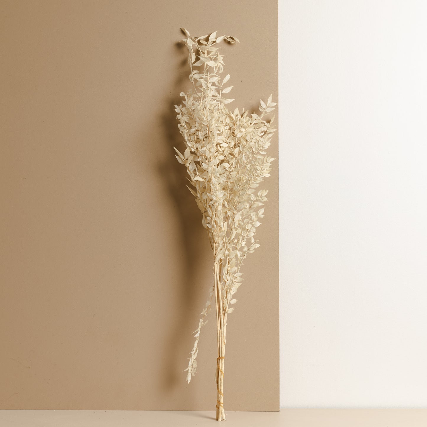 Ruscus Bunch, Off white