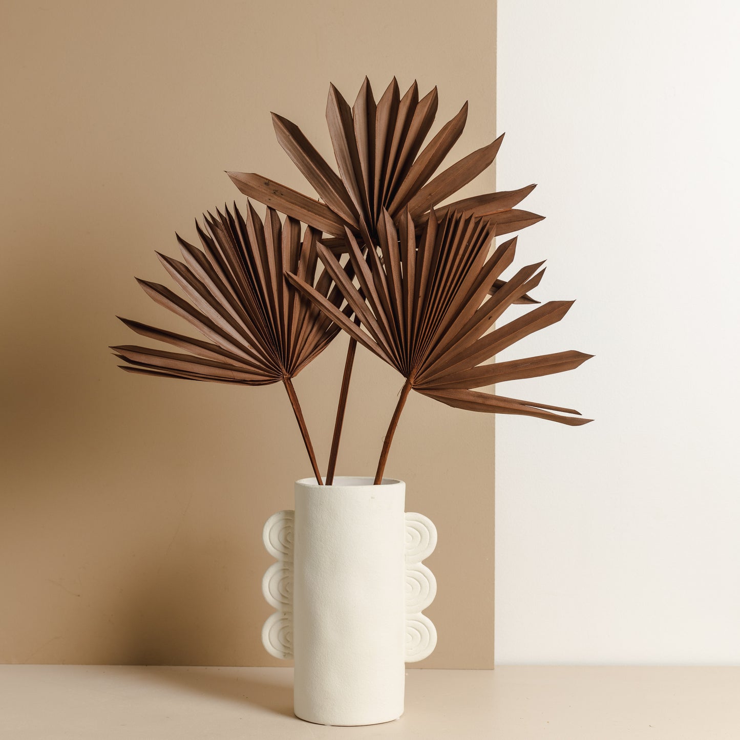 Dried Fan Palm, Brown