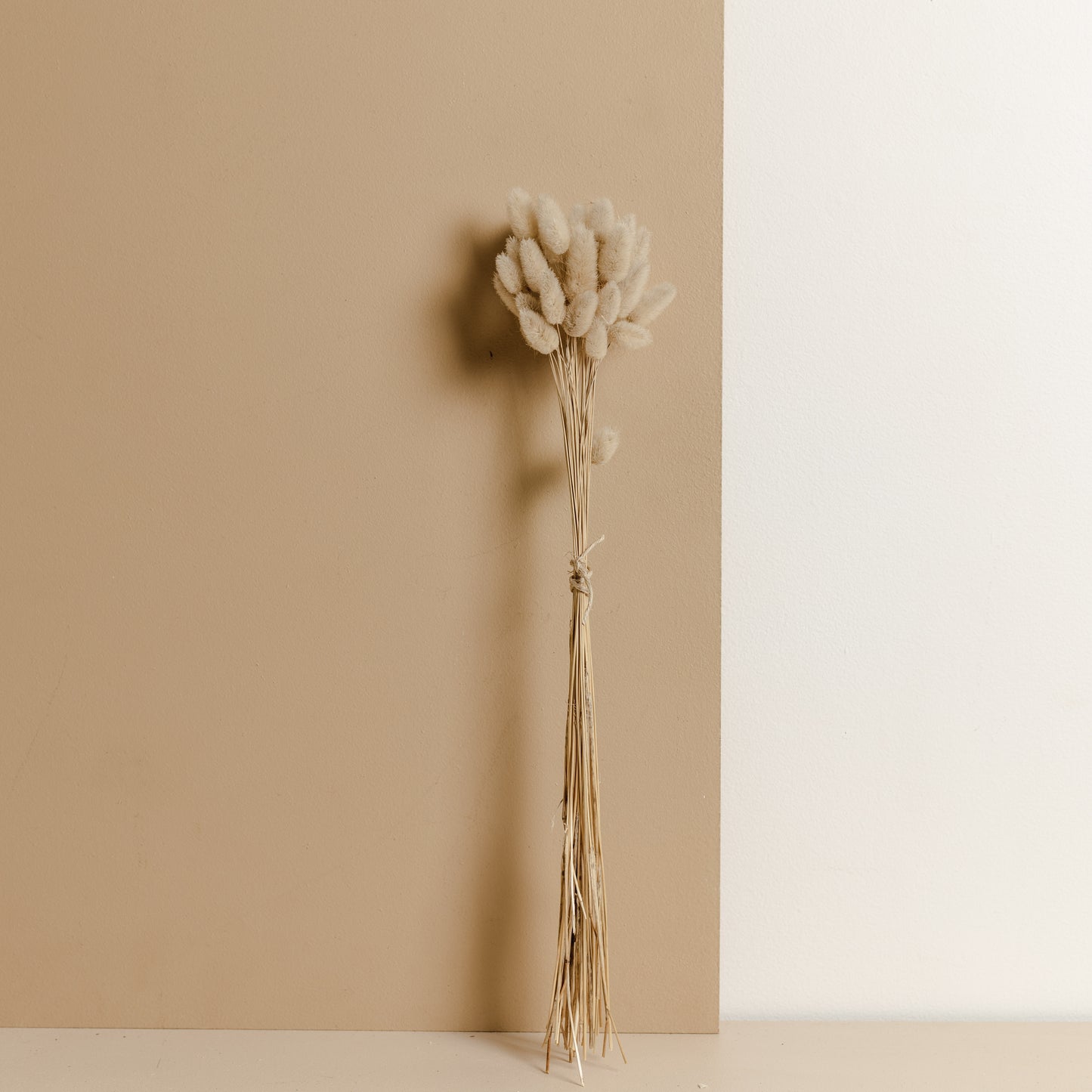 Bunny Tail Bunch (Light natural/ soft Beige/ Brown)