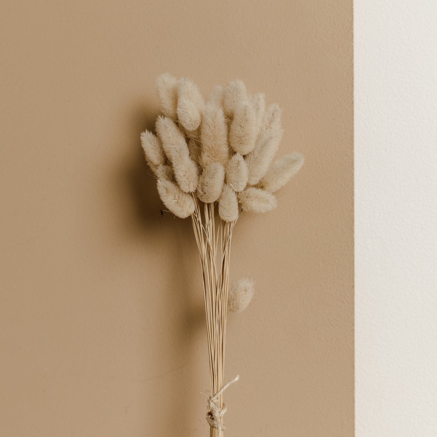 Bunny Tail Bunch (Light natural/ soft Beige/ Brown)