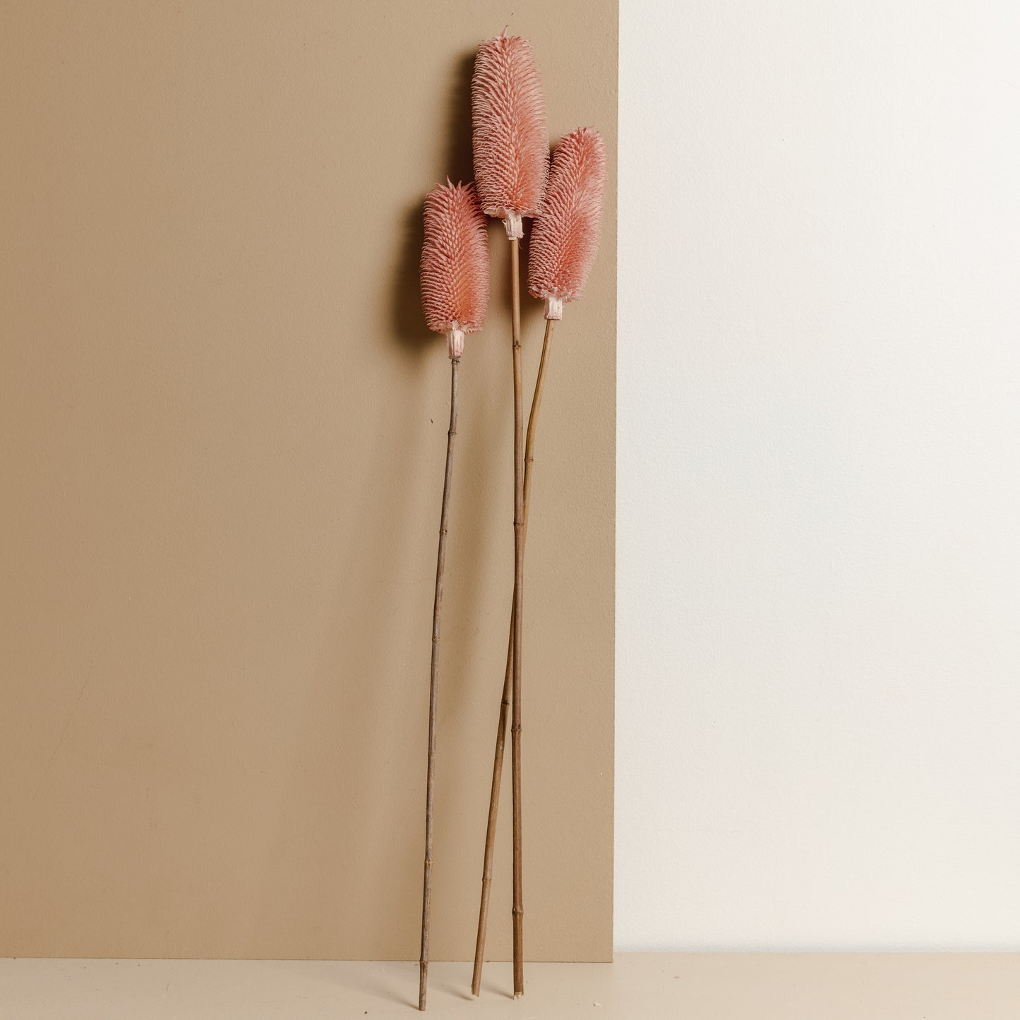 Brush Flower (Pink)
