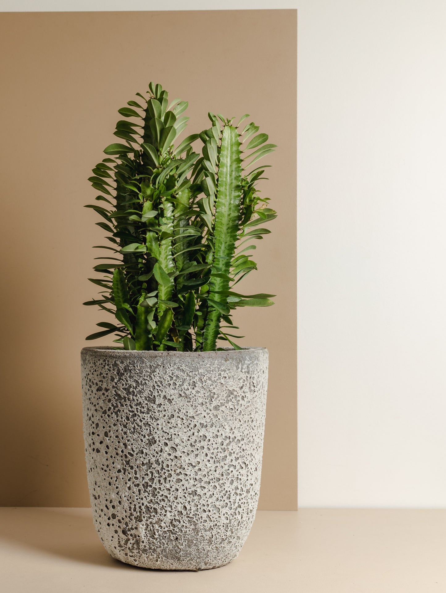 Ancient Planter (215mm Pot Size)