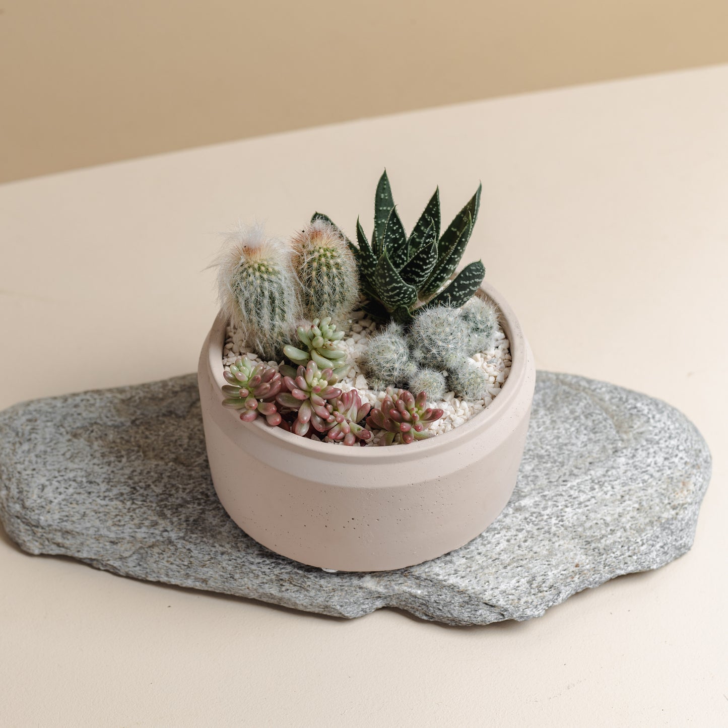 Blush Succulent Bowl, Style A