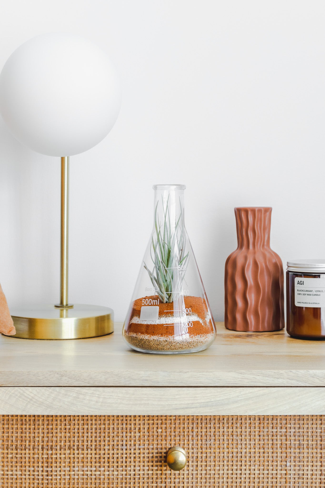 Tillandsia Science Vessel