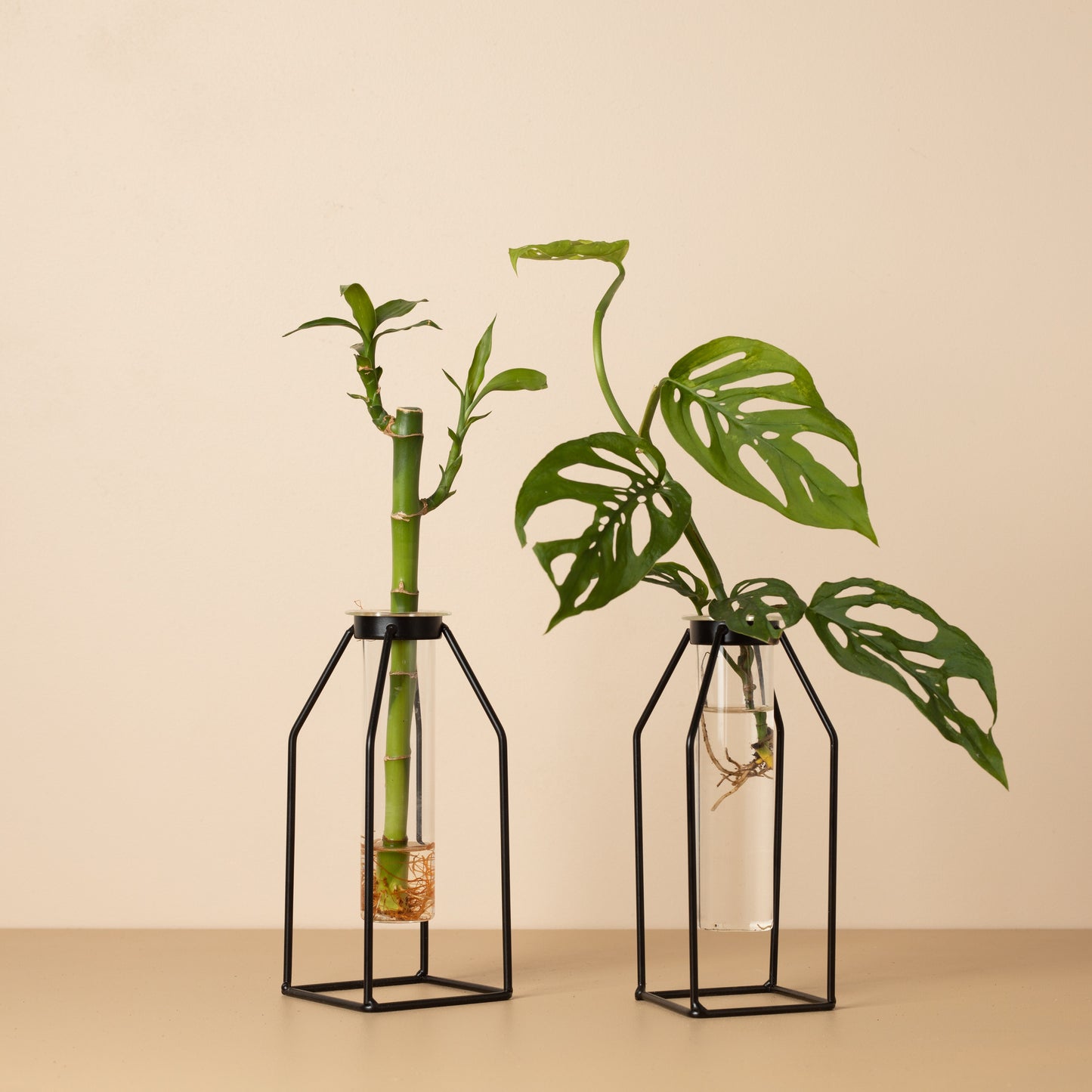 propagation vessel, buy online