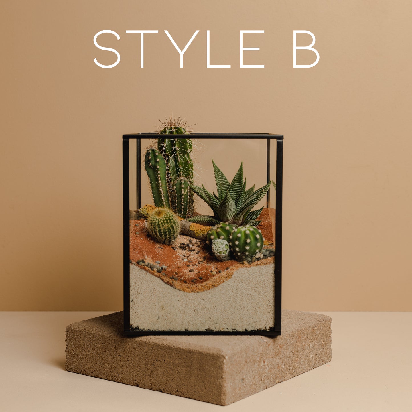 Cacti & Succulent Garden