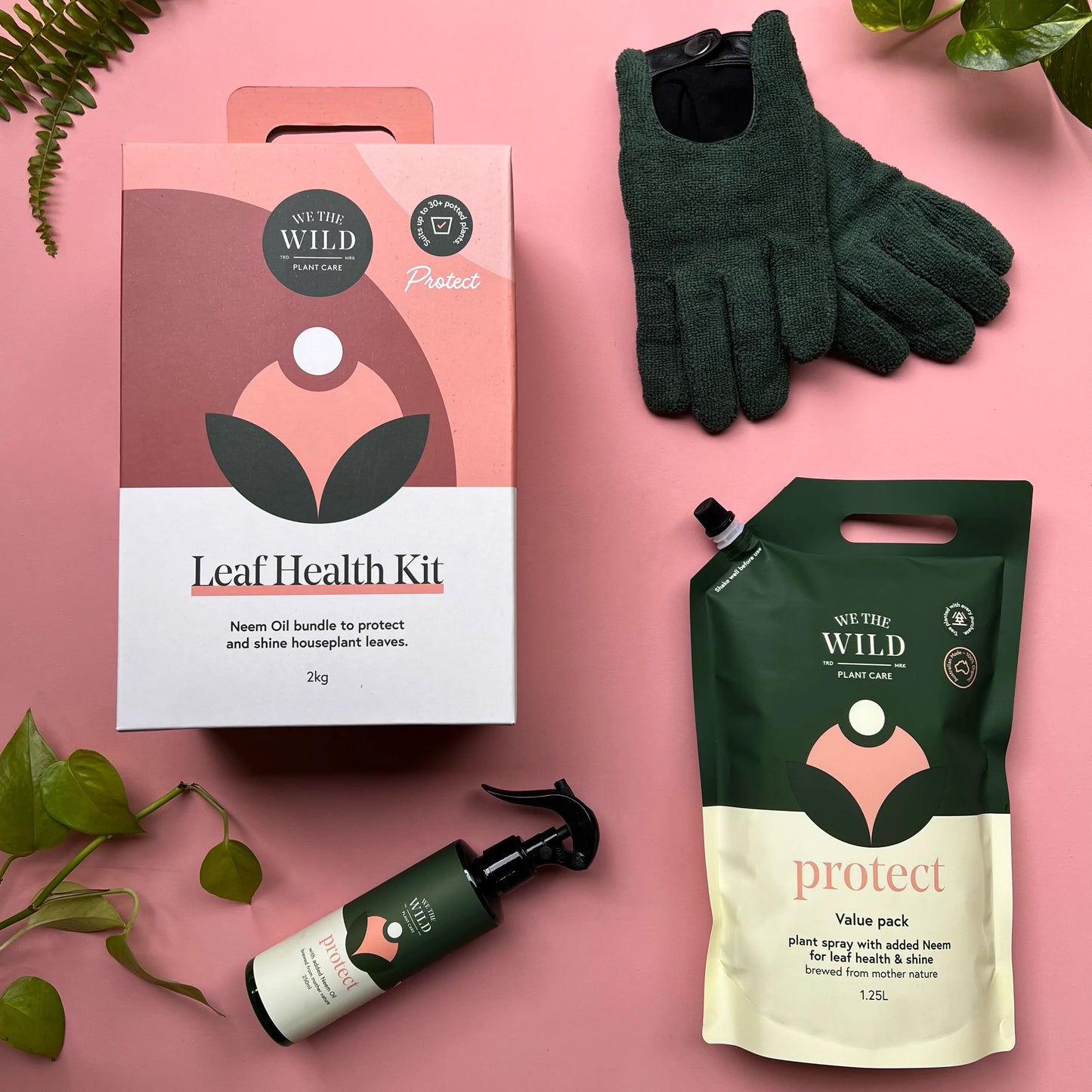 Leaf Health Kit by We The Wild