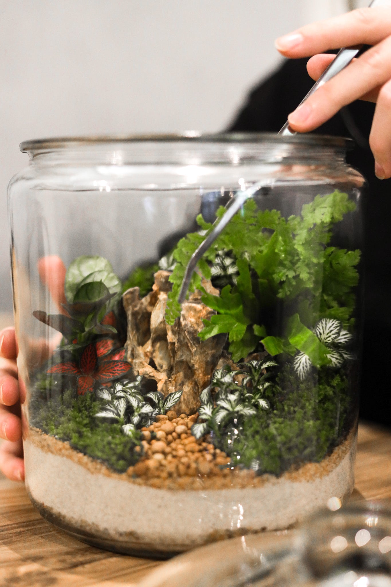 Terrarium Workshop