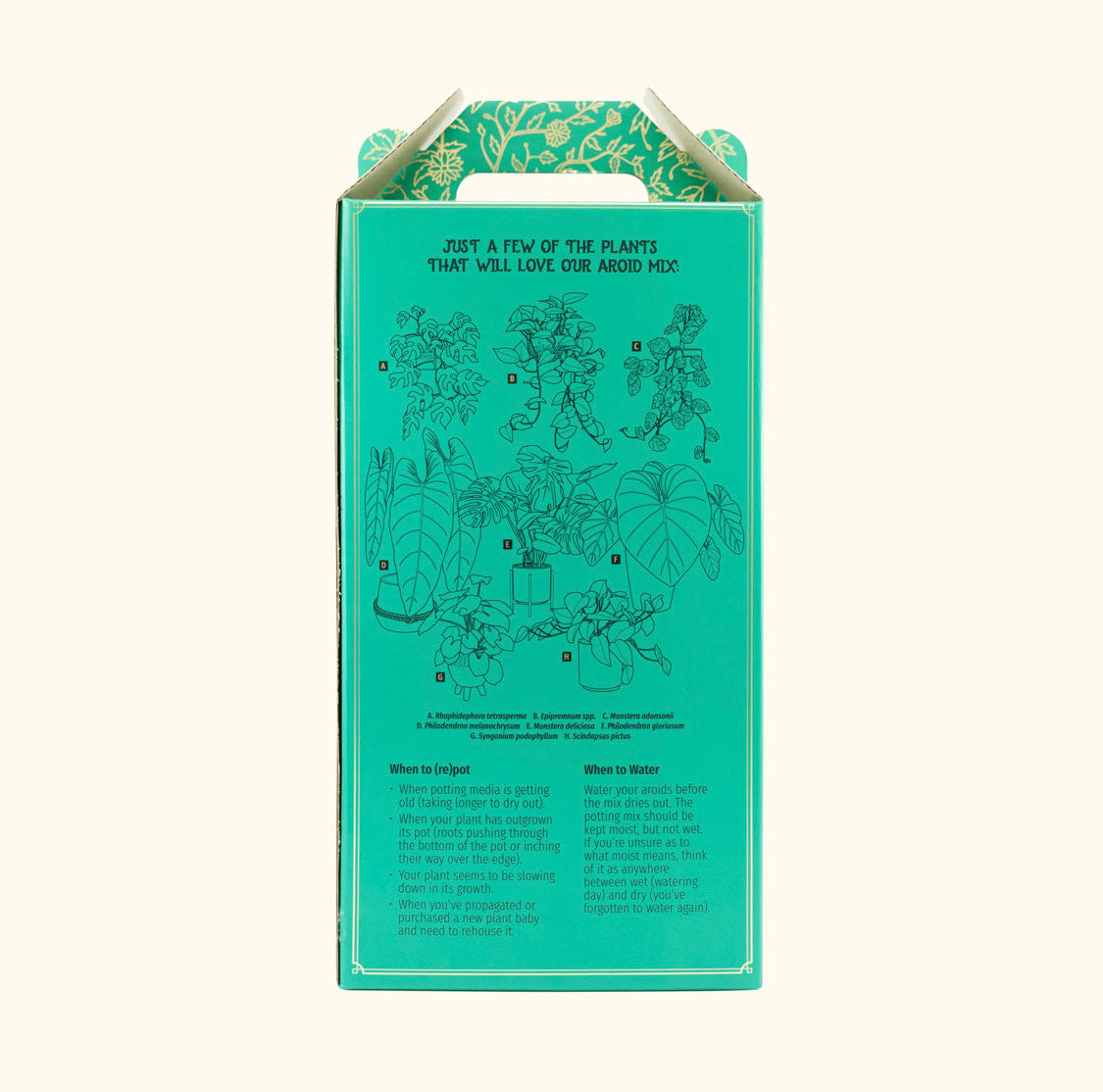 Aroid Potting Mix by the Plant Runner