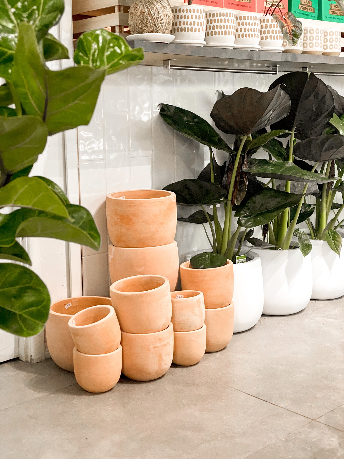 Terracotta U pot