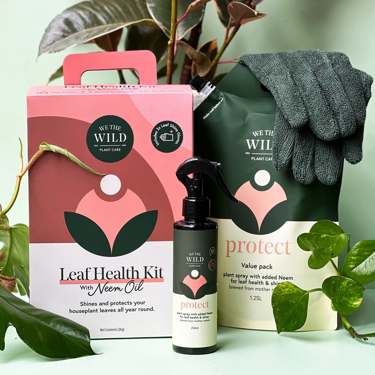 Leaf Health Kit by We The Wild