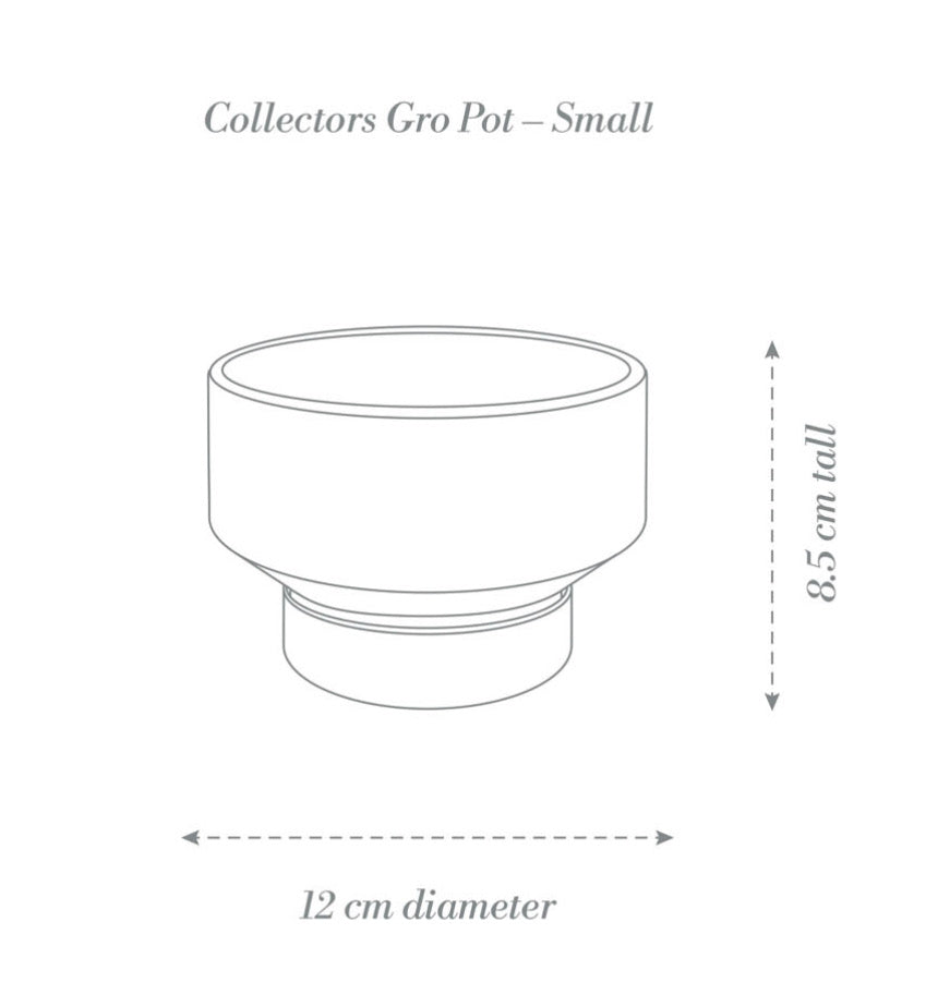 Gro Pot Small Clay (110mm Pot size)
