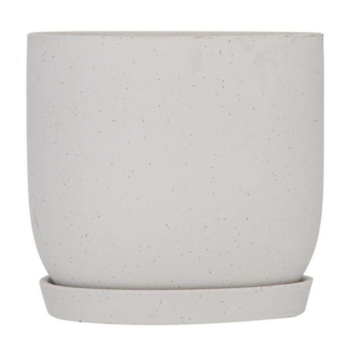 Azalia pot