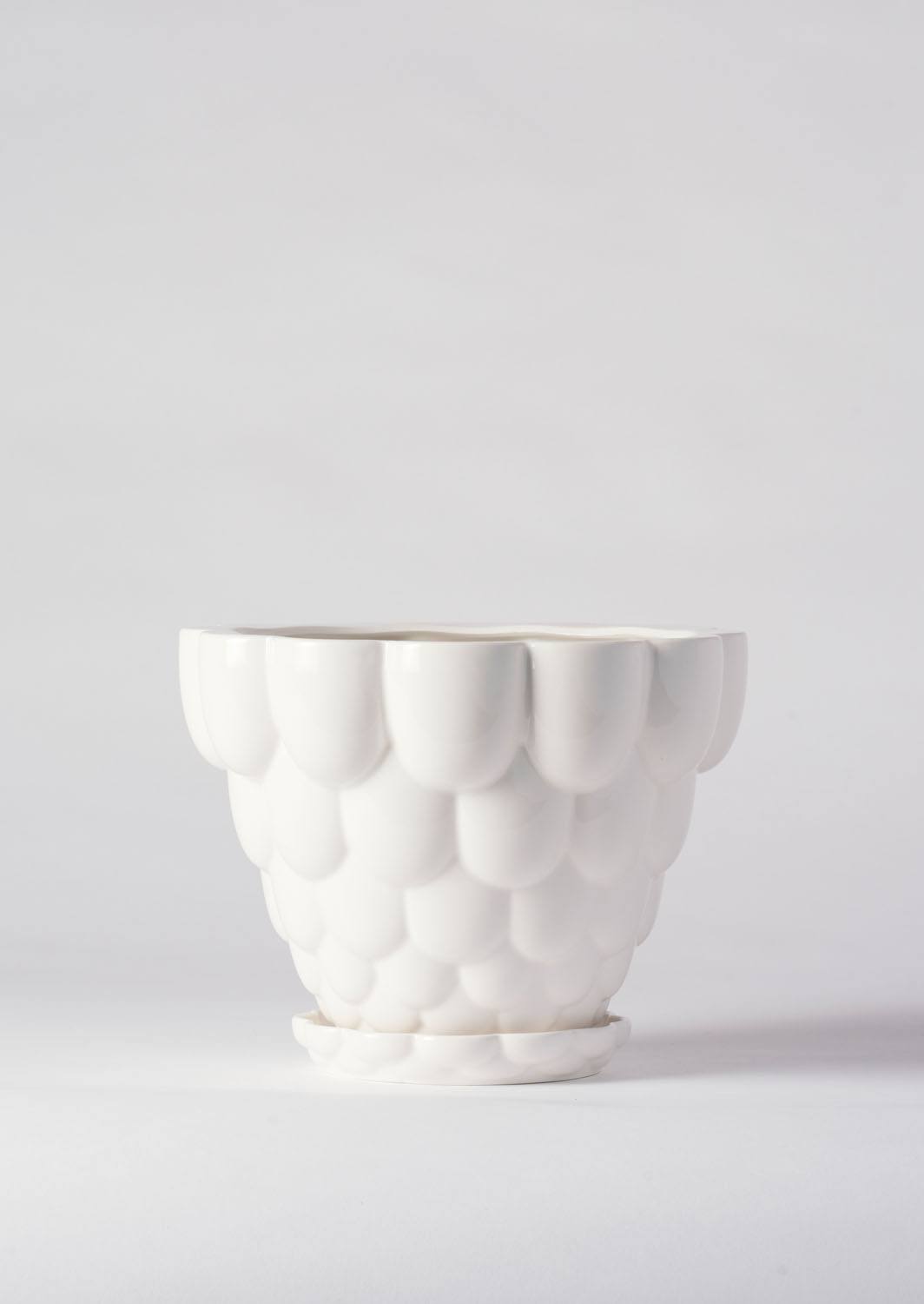 Jelly Pot, White (210mm pot size)
