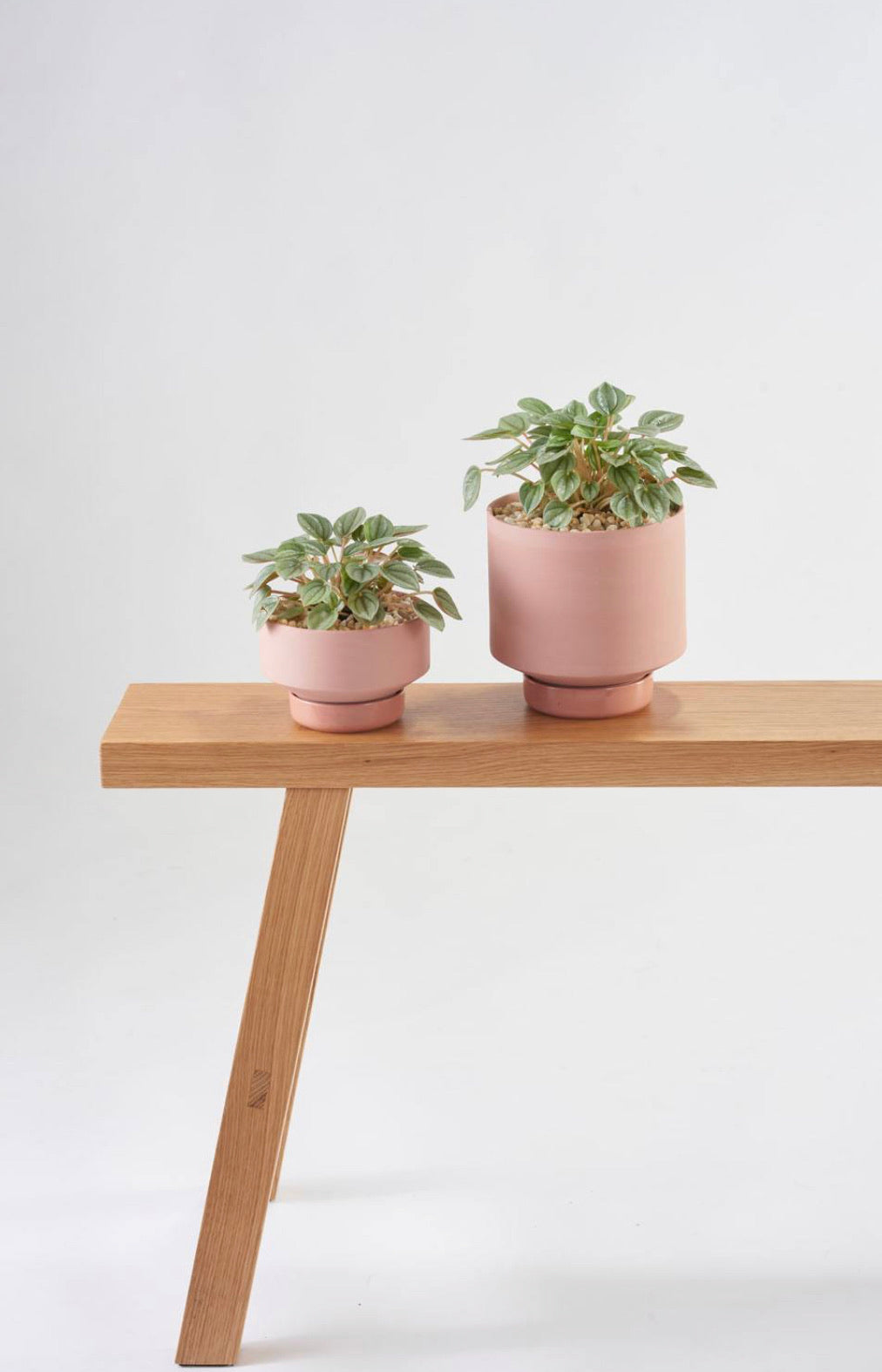 Gro Pot Small Ochre (110mm Pot Size)