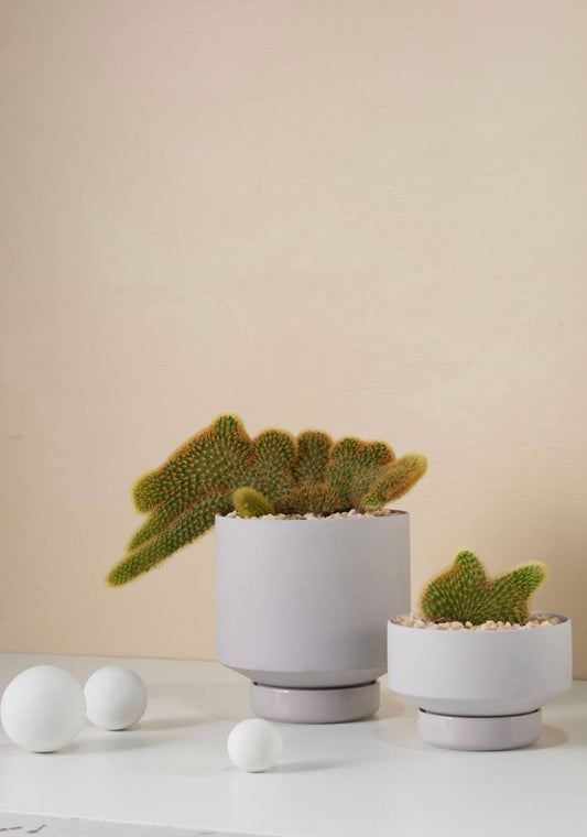 Gro Pot Large Grey (130mm Pot Size)