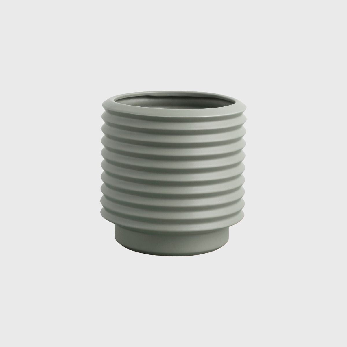 Medium Berlin Planter Eucalyptus (120mm Pot Size)