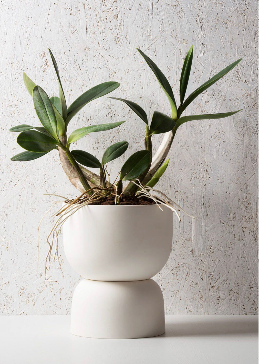 Raw Earth Plant Stand Pot (240mm Pot Size)