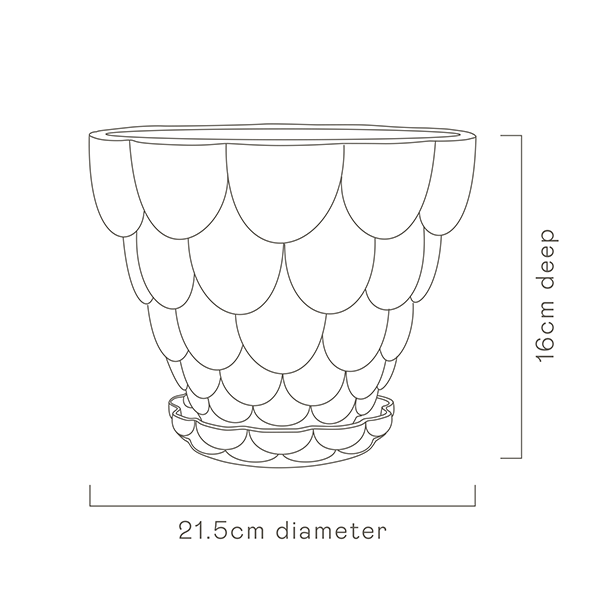 Jelly Pot, Pink (210mm pot size)