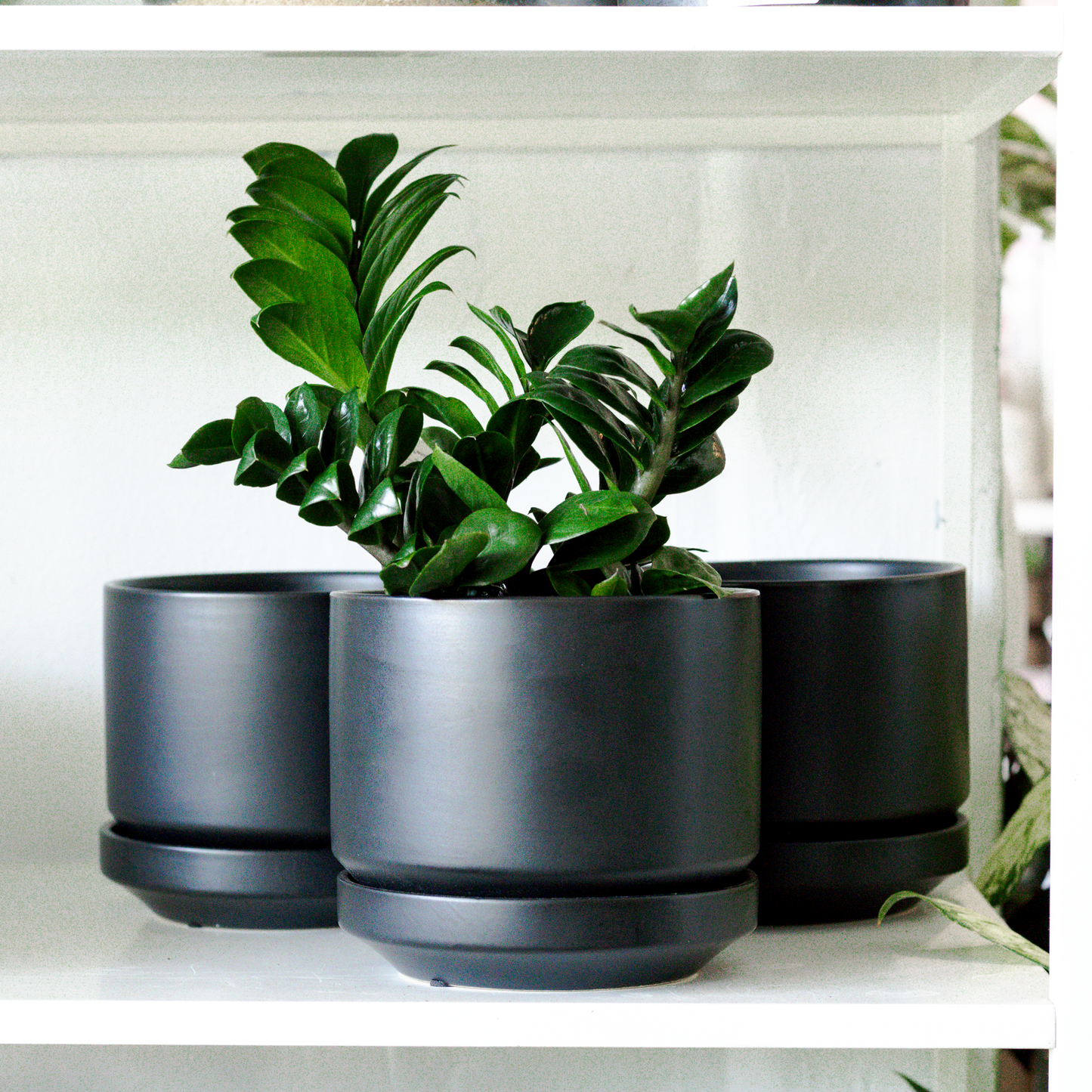 Zurich Pot, Black