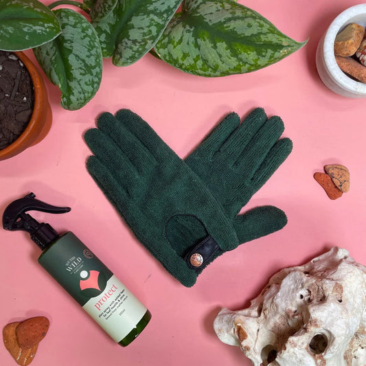 Leaf Health Kit by We The Wild