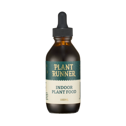 Plant runner Indoor plant food
