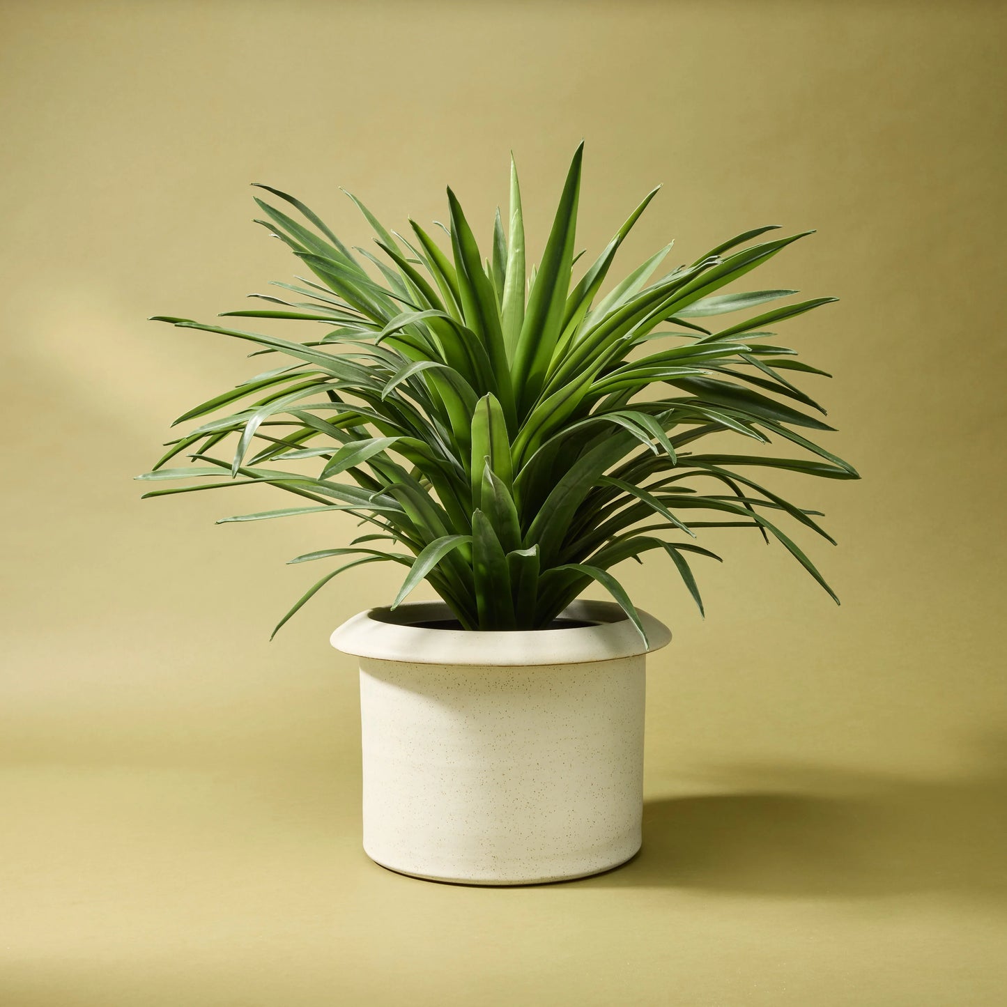 Vannes Pot