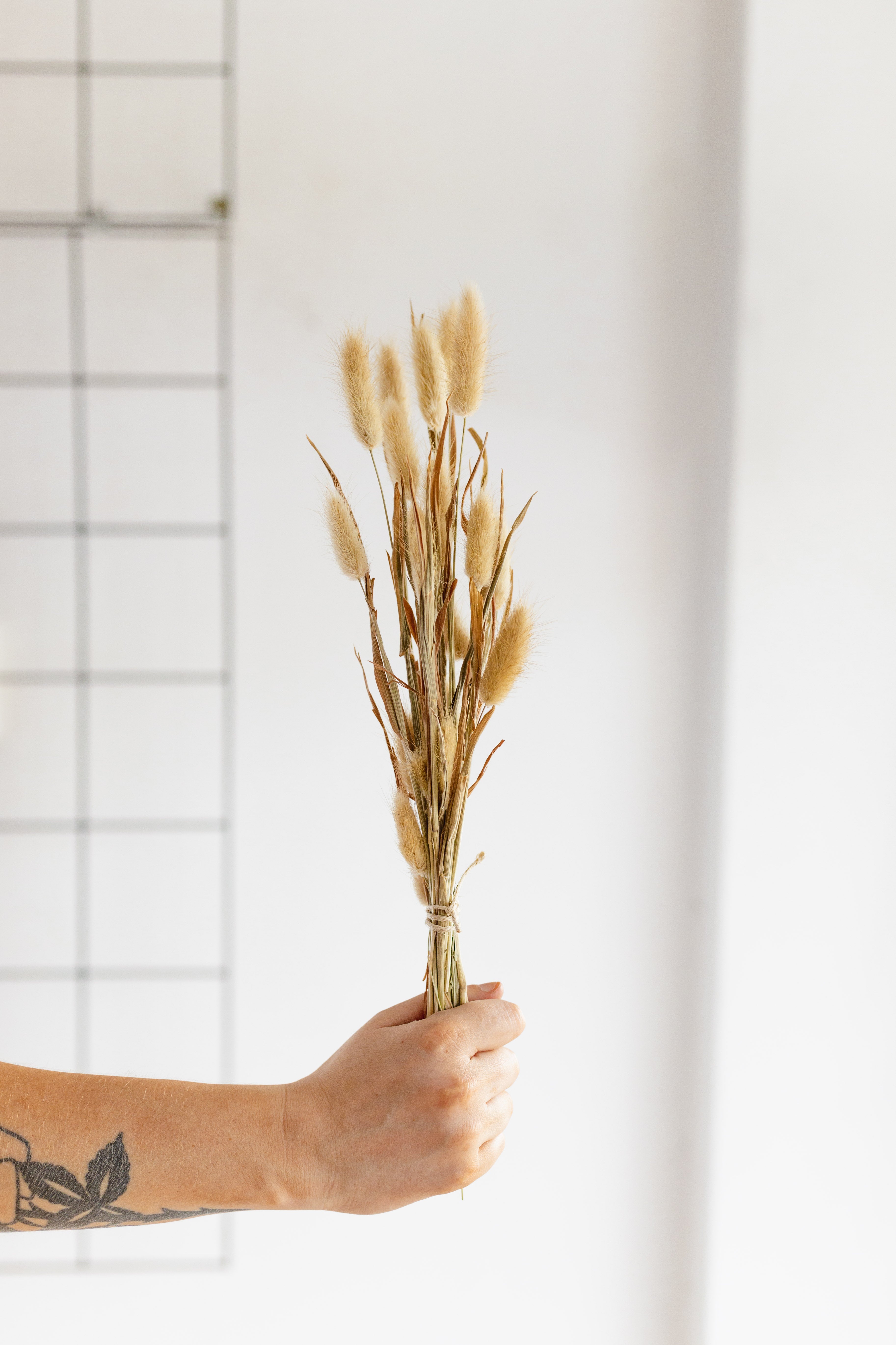 Dried Short Bunny Tails, Natural – Little Fox Lane