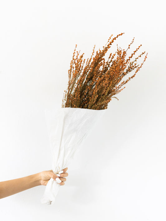 Dried flower bunch (Orange)