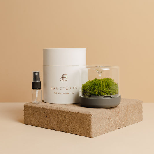 Mini Moss Terrarium