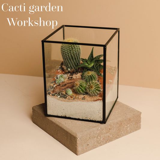 Cacti garden workshop