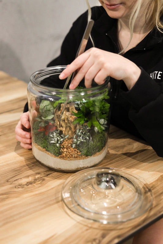 Terrarium Workshop