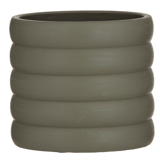 Sitara Pot Moss
