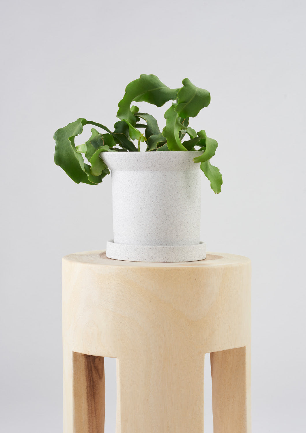 The Cylindrical Pot, white (125mm pot)